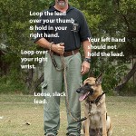 How to hold your lead for Obedience training