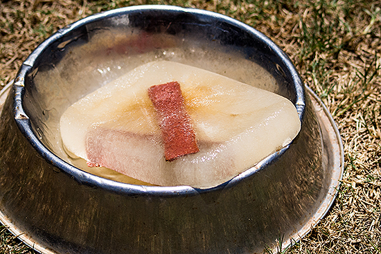 Freeze a tasty and cool canine ice block for your dog to keep cool & avoid heat stress. 