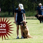 Dog Obedience Training Discount