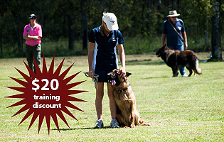 Receive a $20 Discount on Dog Obedience Training with Aylwards Dog School